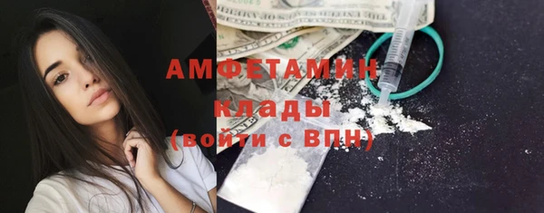 мет Алексин