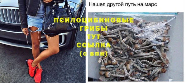 не бодяженный Алзамай