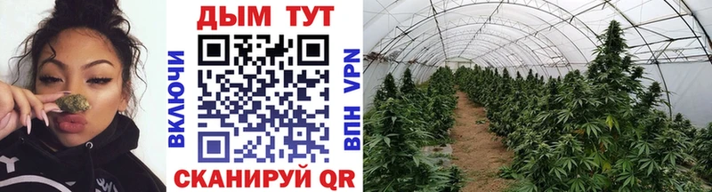 Конопля VHQ Фатеж